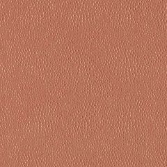 Duralee 32812 Cayenne 581 Indoor Upholstery Fabric