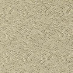 Duralee 32812 Latte 587 Indoor Upholstery Fabric