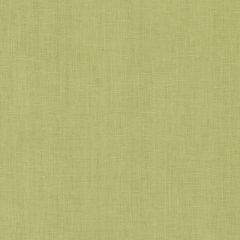 Duralee 32789 Peridot 579 Indoor Upholstery Fabric