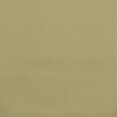 Duralee 32498 579-Peridot 291155 Indoor Upholstery Fabric
