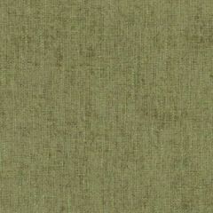 Duralee Dw16208 597-Grass 291651 Indoor Upholstery Fabric