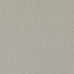 Duralee 36275 Pewter 296 Indoor Upholstery Fabric