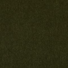 Highland Court HV16156 Olive 22 Indoor Upholstery Fabric