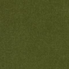 Highland Court HV16156 Evergreen 323 Indoor Upholstery Fabric