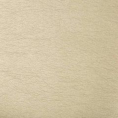 Kravet Contract Maximo Pewter 16 Indoor Upholstery Fabric