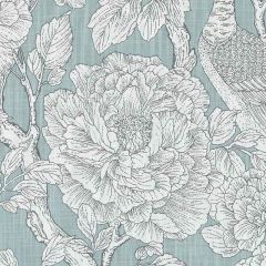 Duralee DE42577 Aqua 19 Indoor Upholstery Fabric