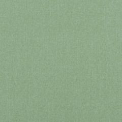 Baker Lifestyle Carnival Plain Emerald PF50420-785 Carnival Collection Multipurpose Fabric