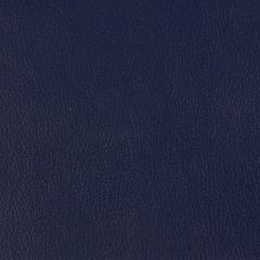 Kravet Smart Blue Berta 5 Indoor Upholstery Fabric