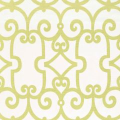 F Schumacher Manor Gate Aloe 174150 Classic Prints Collection Indoor Upholstery Fabric