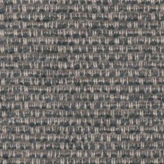 Perennials Wild and Wooly Pumice 976-208 Rodeo Drive Collection Upholstery Fabric