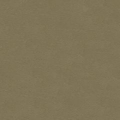 Kravet Design Grana Grey 11 Ultraleather Plus Upholstery Fabric