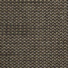 Robert Allen Kabuki Greystone 210666 Indoor Upholstery Fabric
