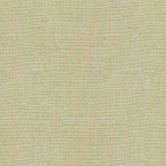 Lee Jofa Dixter Sea Salt 2015152-1611 Color Library Collection Multipurpose Fabric
