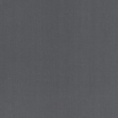 Robert Allen Swagger Slate Linen Solids Collection Multipurpose Fabric