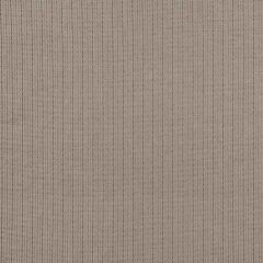 Robert Allen Contract Taboo Nickel 215559 Multipurpose Fabric