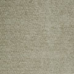 Robert Allen Tangle Up Driftwood 245403 Landscape Color Collection Indoor Upholstery Fabric