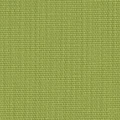 Perennials Rough 'n Rowdy Lime Punch 955-14 Beyond the Bend Collection Upholstery Fabric