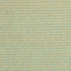 SolaMesh Cactus 865077 118 inch Shade / Mesh Fabric