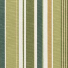 Perennials Boathouse Stripe Herb Garden 835-272 Camp Wannagetaway Collection Upholstery Fabric