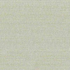Kravet Design Tully Flaxseed 34049-1616 Curiosities Collection by Kate Spade Multipurpose Fabric