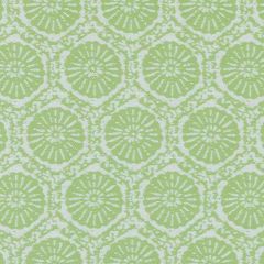 Duralee Pistachio DW16056-399 The Tradewinds Indoor-Outdoor Woven Collection  Upholstery Fabric