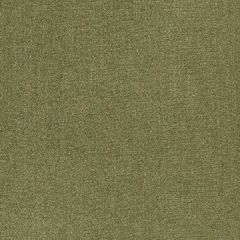 Robert Allen Gleam Dream Moss 255513 Enchanting Color Collection Indoor Upholstery Fabric