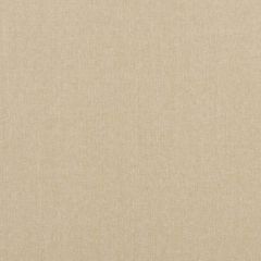 Baker Lifestyle Carnival Plain Sand PF50420-130 Carnival Collection Multipurpose Fabric