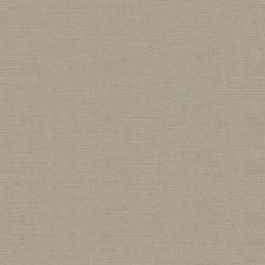 Kravet Venetian Mica 31326-1611 Indoor Upholstery Fabric