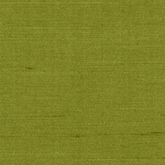 Robert Allen Contract 2 Tone Dupioni-126-Green Tea 181699 Decor Drapery Fabric
