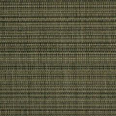Robert Allen Chippanock Slate 213132 Indoor Upholstery Fabric