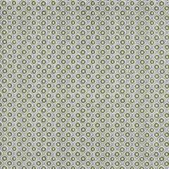 Robert Allen Handpicked Moss 259461 Nomadic Color Collection Indoor Upholstery Fabric