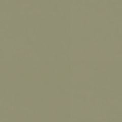 Spirit 525 Gray Moss Contract Marine Automotive and Healthcare Upholstery Fabric