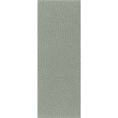 Kravet Basics Nuostrich 11 Indoor Upholstery Fabric