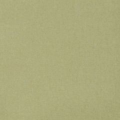 Robert Allen Linen Canvas Lettuce 508616 Epicurean Collection Indoor Upholstery Fabric