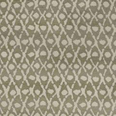 Robert Allen Globetrotter Truffle 508710 Epicurean Collection Indoor Upholstery Fabric