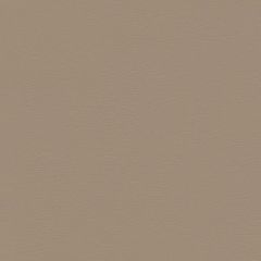 ABBEYSHEA Sealskin 81 Bisque Contract Indoor Upholstery Fabric