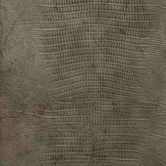 Kravet Namaqua Grey 21 Indoor Upholstery Fabric
