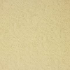 Kravet Design Beige Delaney 116 Indoor Upholstery Fabric