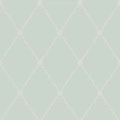 Cole and Son Large Georgian Rope Trellis Duck Egg 100-13066 Archive Anthology Collection Wall Covering