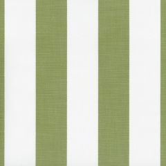 Perennials Go to Stripe Spring 570-176 Natural Selection Collection Upholstery Fabric