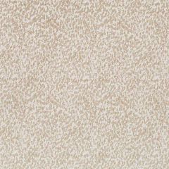 Beacon Hill Lagos Velvet Travertine 510787 Indoor Upholstery Fabric