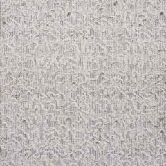 F Schumacher Janis Velvet Pewter 75220 Relaxed Glamour Collection Indoor Upholstery Fabric