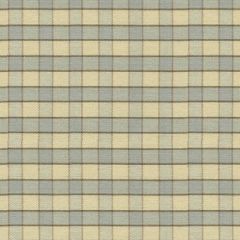Lee Jofa Courtenay French Blue 2010141-5 by Suzanne Kasler Indoor Upholstery Fabric
