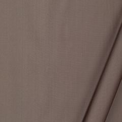 Robert Allen Vinetta Mica 235030 Drapeable Silk Looks Collection Multipurpose Fabric