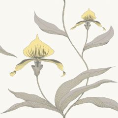 Cole and Son Orchid Yellow / White 95-10057 Contemporary Restyled Collection Wall Covering