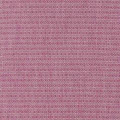 Robert Allen Balance Beet 247308 Drenched Color Collection Indoor Upholstery Fabric