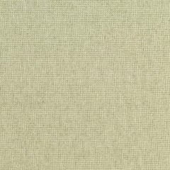 F. Schumacher Corsica Weave Celadon 51344 Chroma Collection