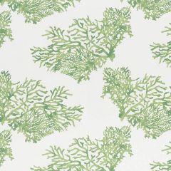 F Schumacher Great Barrier Reef II Green 178291 Indoor / Outdoor Prints and Wovens Collection Upholstery Fabric