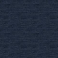 Endurepel Devine 309 Naval Indoor Upholstery Fabric
