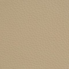 Kravet L-Deluxe Stone Indoor Upholstery Fabric
